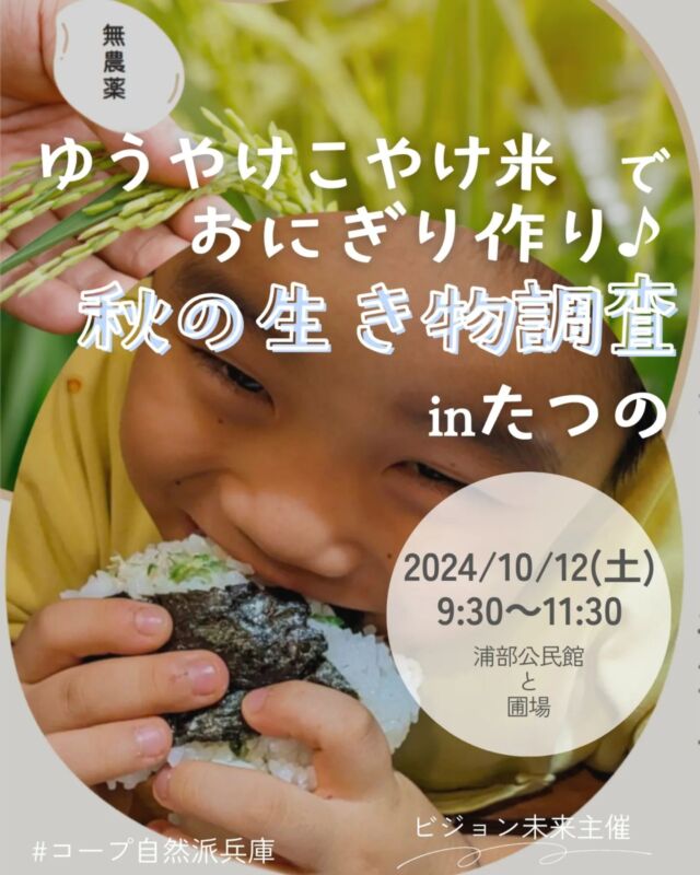 🍅@coop.shizenha.hyogo
イベント＼ゆうやけこやけ米でおにぎり作り♪ ＆ 秋の生き物調査 in たつの／

とっても美味しいと大好評のゆうやけこやけ米。今年はみんなでおにぎりを作ります♪自然派の選りすぐりの具材といっしょに炊きたてのごはんでおにぎりを作って、おみそ汁といただきましょう。
秋の生き物調査と稲刈り体験も行います。

とき：2024年10月12日（土）9:30～11:30
ところ：浦部公民館と圃場
（たつの市揖保川町浦部32付近）
駐車場：新鮮組こだわり隊の駐車場たつの市揖保川町浦部769付近

▶講師：揖龍地域稲作経営研究会のみなさん
　　　　地域の未来を自然につなぐ会のみなさん

▶参加費：組合員400円、組合員子ども200円
　　　　　　　　　　　（ごはんを食べる子から中学生）
　　　　　一般600円、一般子ども300円
　　　　　　　　　　　（ごはんを食べる子から中学生）
▶定 員：50名（約20組）
▶託 児：なし　(お子さま同伴可)
▶持ち物：帽子、カッパ（雨天時）、飲み物、筆記用具、
　　　　　お箸、おにぎりを入れる容器かお皿、汁椀、
　　　　　軍手、汚れてもいい服装。
　　　　　以下、必要な方はお持ちください。
　　　　　おにぎりを作るときに使うラップや型、
　　　　　長靴、稲刈りカマ、虫取り網
▶イベントID:18244502
▶申込：電話またはメールにて申込ください
　　　　✉event18@shizenha.co.jp
▷申込〆切：10/10(木)

 −−−−−−−−−−−−−−−−−−−−−−−−−−−−−−−−−−−−

コープ自然派兵庫
組合員より発信中✈
選ぶもので社会は変わる
選ぶことで未来を変えよう
@coop.shizenha.hyogo

−−−−−−−−−−−−−−−−−−−−−−−−−−−−−−−−−−−−

#たつの
#ゆうやけこやけ米
#生き物調査
#秋の田んぼ
#生産者と繋がる
#生協 #コープ自然派 #コープ自然派兵庫 #コープ自然派のあるくらし #生産者さんに感謝 #生協宅配 #オーガニックな暮らし #無農薬 #遺伝子組み換えでない  #自然を守る #国産オーガニック