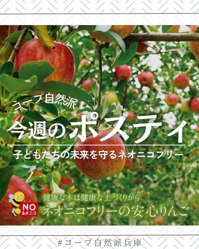 🍅@coop.shizenha.hyogo
ポスティ＼ネオニコフリーの安心りんご／

昆虫に対して強い毒性を発揮し、農薬の散布回数が少なくても効果が持続するとして登場したネオニコチノイド系農薬。
使用されるにしたがって人体や生態系の広範囲に影響を及ぼすことが明らかになり、ヨーロッパ等各国では規制が強化されるようになりました。
コープ自然派では生産者と協議を重ねながら、ネオニコの排除を段階的にすすめています。

▶特集:子どもたちの未来を守る ネオニコフリー

▷【30～32号ご注文で早割最大5％OFF！クリスマス2024】
　➡毎年要望があった「モンブラン」が新登場！
▷【新春おせちオンライン先行予約受付中！】
　➡最大5％OFFは31号まで
　　無添加、さらに今年の三段重はお重を吉野杉
　　(間伐材)活用したサスティナブルな容器です。
▷【コープ自然派＆ハートキャンペーン開催中！】
　➡寝具もオーガニックを。
　　自然派の組合員さんだけの期間限定価格で紹介。
　　
＊商品案内・ポリ袋・食材セットトレイの回収に
ご協力をお願いします＊
コープ自然派では資源循環と廃棄物の削減のため、
商品案内(カタログ)や容器・包装を回収しています。

 −−−−−−−−−−−−−−−−−−−−−−−−−−−−−−−−−−−−

コープ自然派兵庫
組合員より発信中✈
選ぶもので社会は変わる
選ぶことで未来を変えよう
@coop.shizenha.hyogo

−−−−−−−−−−−−−−−−−−−−−−−−−−−−−−−−−−−−

#ポスティ 30号
#ネオニコフリー
#表示
#生態系保全
#リンゴ大好き
#生協 #コープ自然派 #コープ自然派兵庫 #コープ自然派のあるくらし #生協宅配 #生産者さんに感謝 #オーガニックな暮らし #無農薬 #遺伝子組み換えでない  #自然を守る #国産オーガニック #エシカルライフ #選ぶ