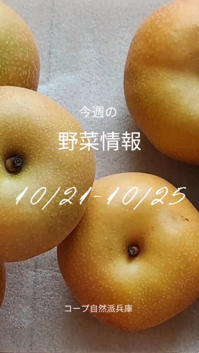 🍅@coop.shizenha.hyogo　
10/21-10/25お届けのやさい情報&産地の今を伝えます🍎

今週旬のおまかせのフルーツは“南水”
長野県の矢澤さんがつくられた梨です。

南水は、糖度が高い大玉の赤梨で、
長野県で生まれた「越後」と「新水」の交配種です。
酸味が控えめで、濃厚な甘みと豊富な果汁が特徴。
みずみずしくジューシーな果汁が
口いっぱいに広がり、強い甘みを楽しめます。

果肉はやや柔らかめで、
芯の近くでも酸味がほとんど感じられず、
最後まで甘さを堪能できます。
風味が良く、特に甘い梨が好きな方におすすめです。
そのまま食べるのはもちろん、
コンポートやジャムにしても👌

------------------------------------------------------------

コープ自然派の野菜&果物の60%以上が
無農薬・有機です🌱

有機農業に携わる人を増やしたい
オーガニックを広げたい
オーガニックを手軽に手に取りたい

そんな社会を作るためコープ自然派では、
誰もが有機農産物を食べ、作り続けられ、
自然と共存できる循環型社会を目指します

#生協 #コープ自然派 #コープ自然派兵庫 #コープ自然派のあるくらし #生協宅配 #生産者さんに感謝 #オーガニックな暮らし #無農薬 #遺伝子組み換えでない  #ネオニコフリー #自然を守る #国産オーガニック