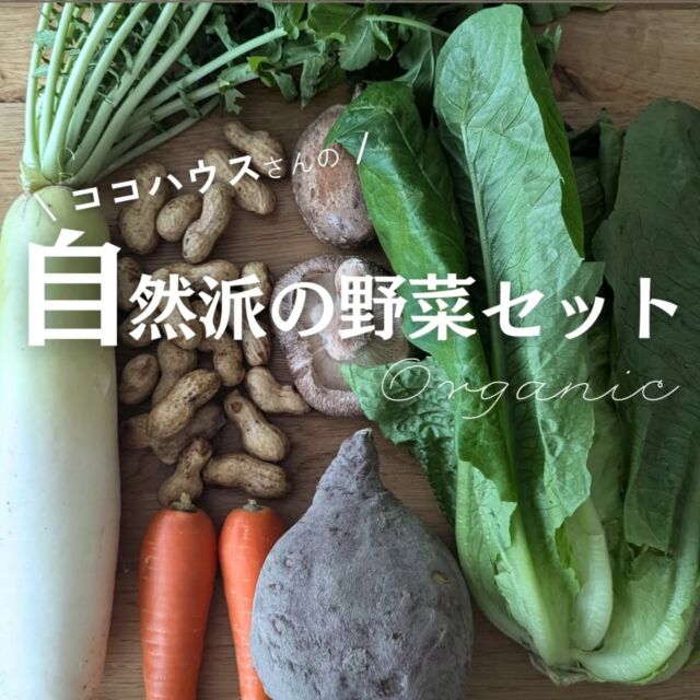 🍅@coop.shizenha.hyogo
＼自然派の野菜セット ／

「有機野菜を日常に 」
神戸市西区・明石市で年に約43種類の有機野菜を作る、
ココハウス さんの有機野菜セット。

今ならココハウスさんの秋の名物、
ピーナッツがセットに入ってますよー！
ほんとに美味しい！

今回は過去一番種まきをされたそうですが、
温度の関係もありスタートはあまりよくないとのこと😭
後半いい状態で収穫が進みますように。

有機野菜を日常に
いただきます☆

−−−−−−−−−−−−−−−−−−−−−−−−−−−−−−−−−−−−

コープ自然派兵庫
組合員より発信中✈
選ぶもので社会は変わる
選ぶことで未来を変えよう
@coop.shizenha.hyogo

−−−−−−−−−−−−−−−−−−−−−−−−−−−−−−−−−−−−

#自然派の野菜セット
#野菜セット 
#地産地消 
#神戸野菜
#生産者さんに感謝 #オーガニックな暮らし #無農薬 #遺伝子組み換えでない  #自然を守る #国産オーガニック #ネオニコフリー#生協 #コープ自然派 #コープ自然派兵庫 #コープ自然派のあるくらし #生協宅配